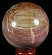 Colorful Petrified Wood Sphere - Madagascar #60528-1